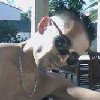 u2bono59